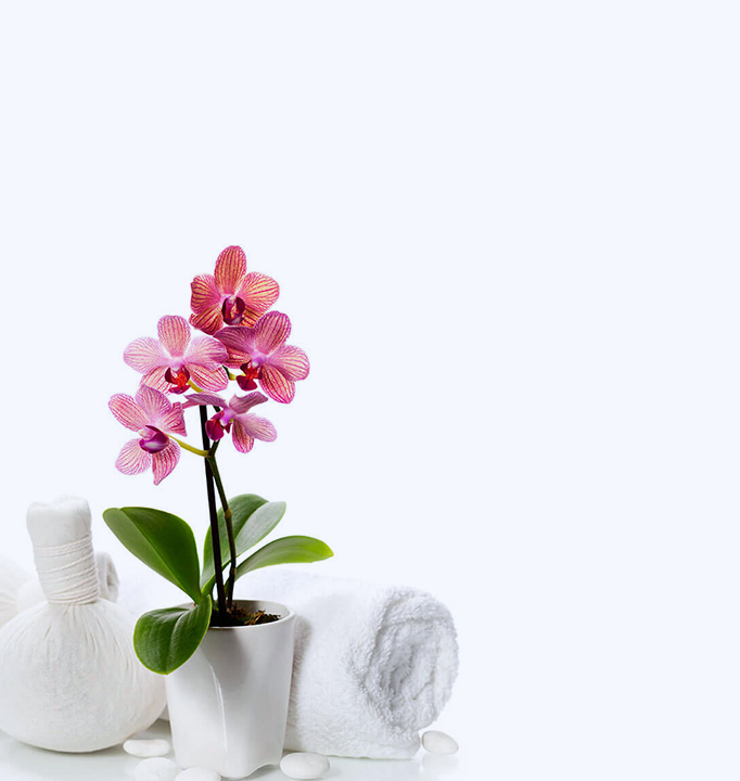 Hair treatment in Pune, Pimri Chinchwad by Dr. Gauri Padmawar